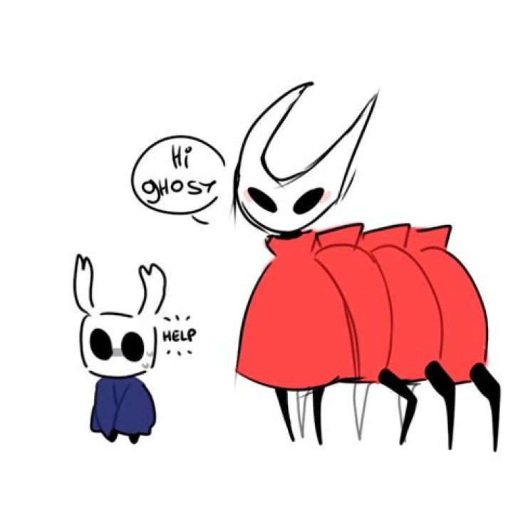 Is Hornet a spider?