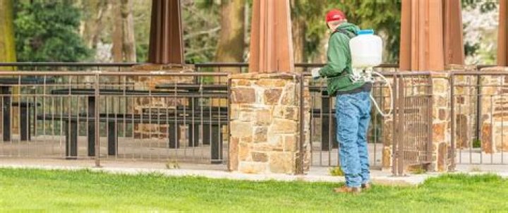 Is it better to pull weeds or spray them?