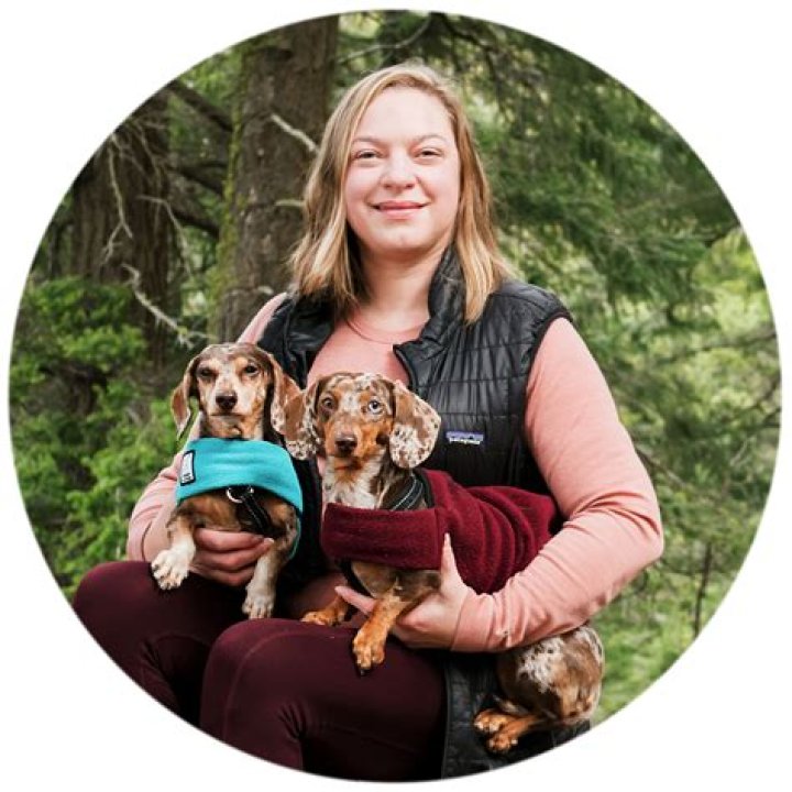 Is it crazy to get a third dog?