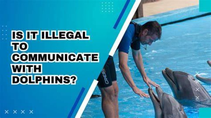 Is it illegal to drink while sailing?