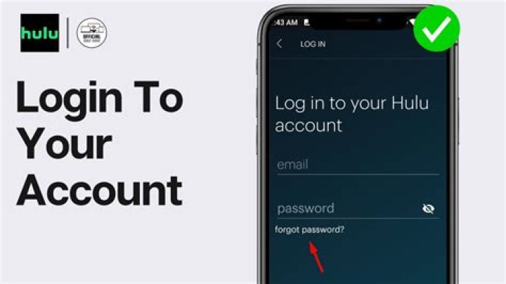 Is it illegal to share a Hulu account?