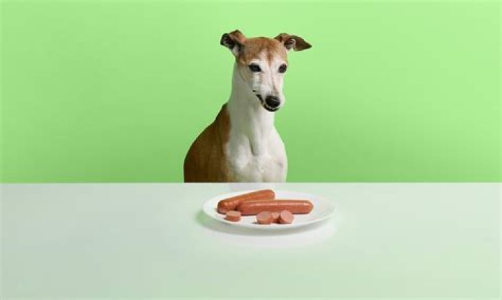 Is it OK to eat Vienna sausages out of the can?