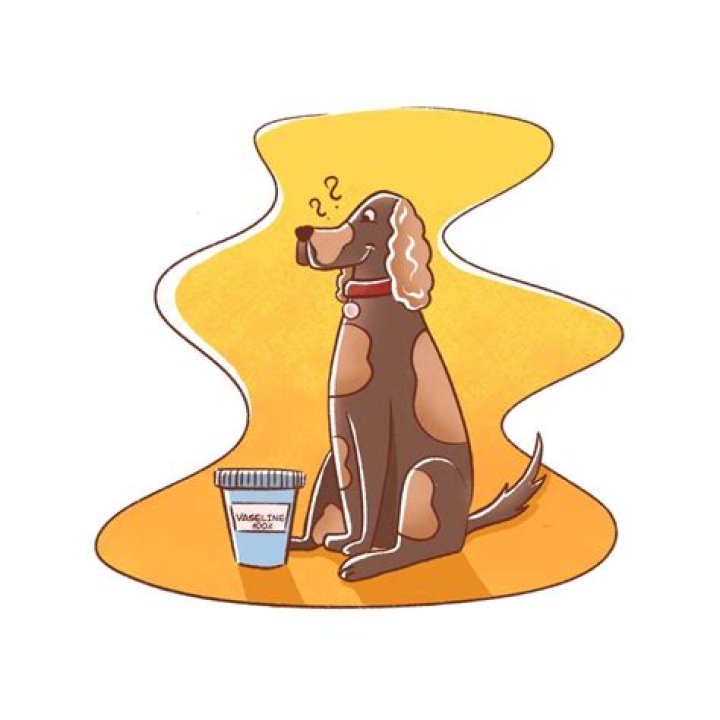 Is it OK to give my dog cold chicken?