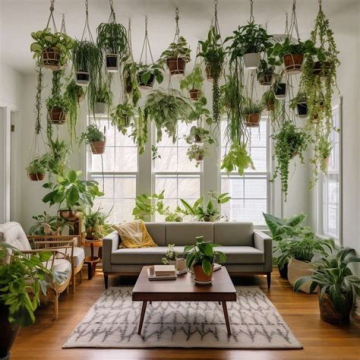 Is it OK to sleep in a room with lots of plants?