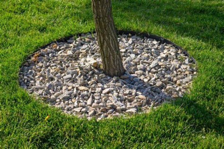 Is it OK to use rocks instead of mulch?
