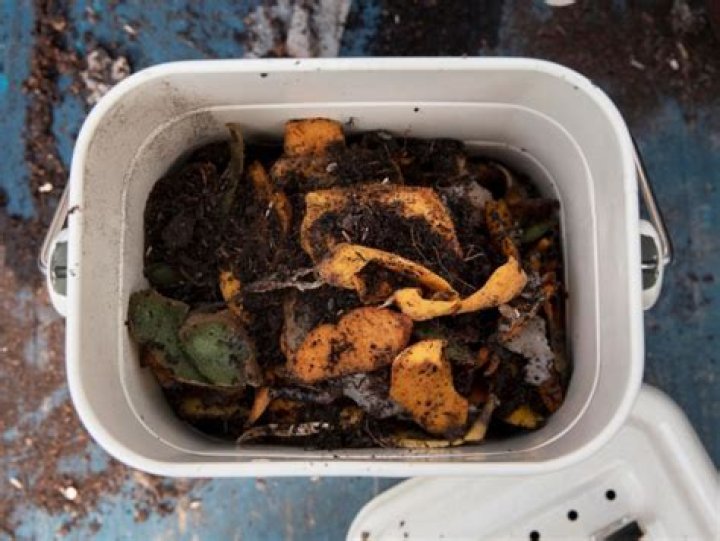 Is it okay to put moldy food in compost?