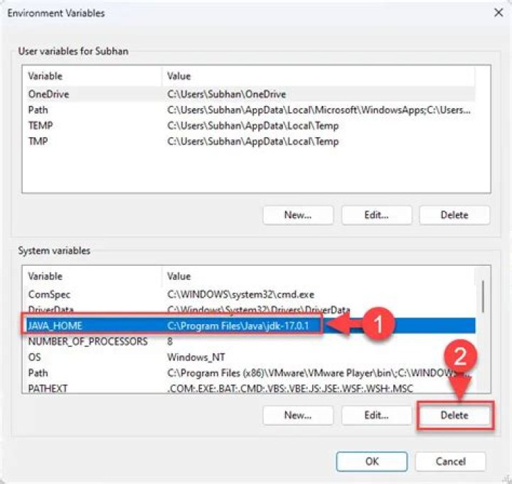 Is it safe to delete environment variable?