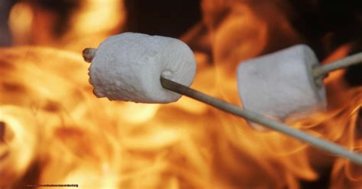 Is it safe to roast marshmallows over pine wood?