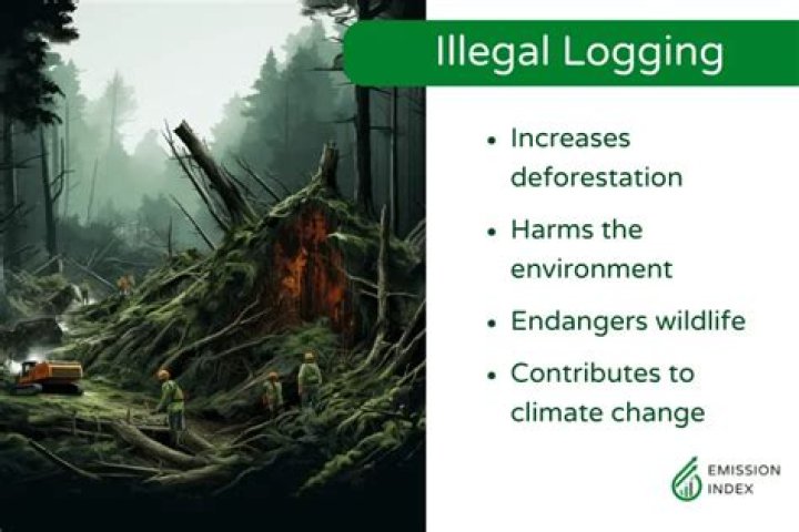 Is ivory illegal in Canada?