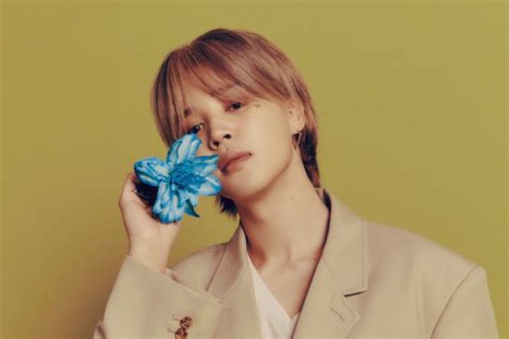Is Jimin visual?