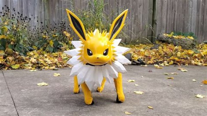 Is Jolteon a cat or dog?