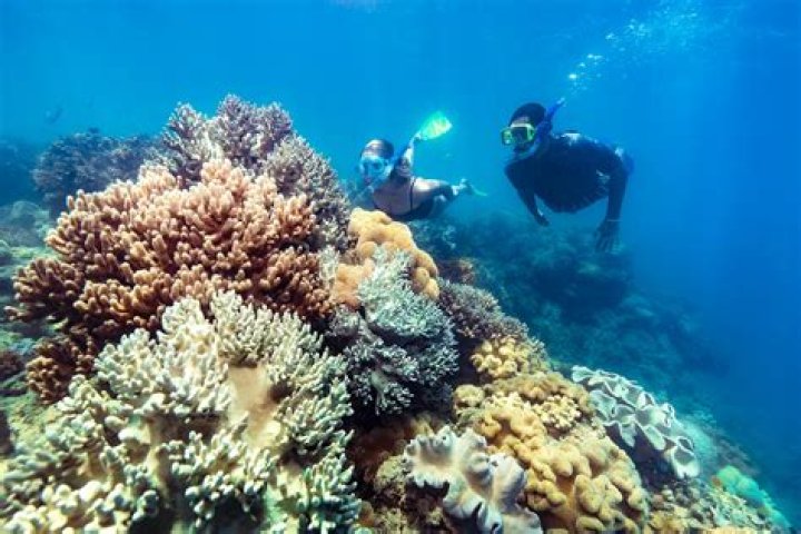 Is June a good time to visit the Great Barrier Reef?