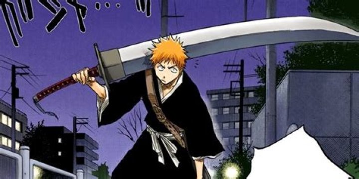 Is Karin Kurosaki a Shinigami?