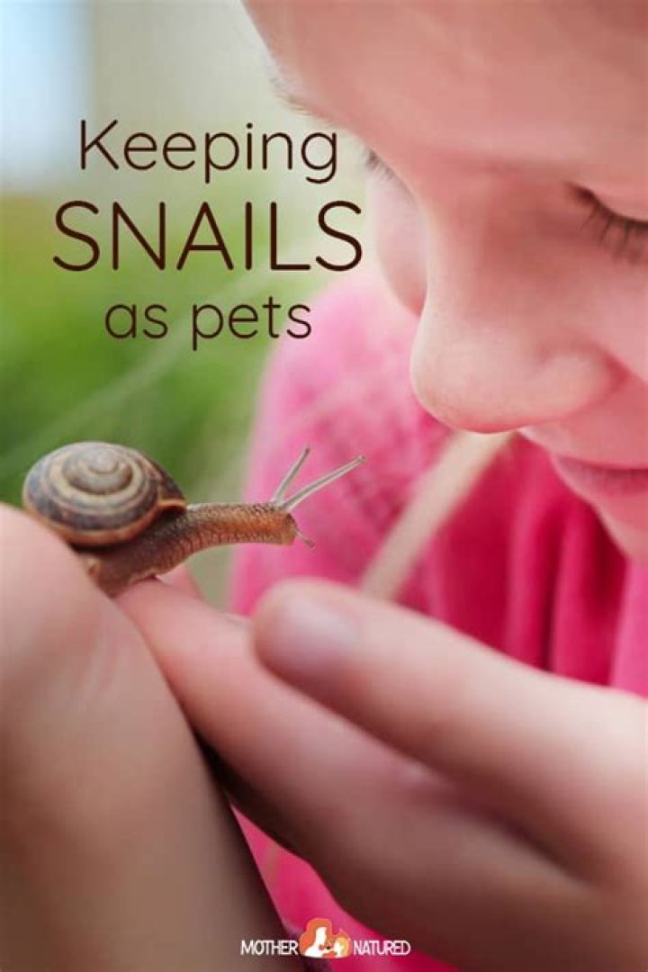 Is keeping snails as pets cruel?