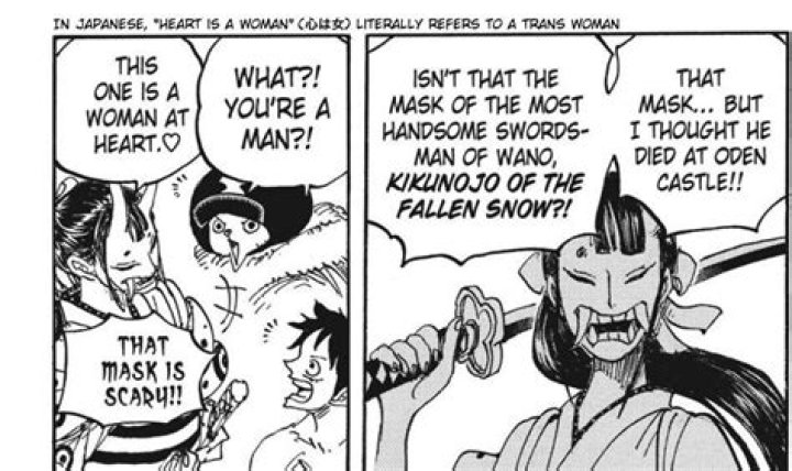 Is Kiku a boy or girl?
