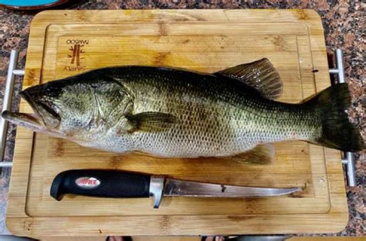 Is largemouth bass good to eat?