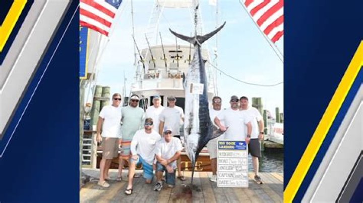 Is marlin fishing illegal?
