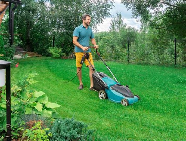 Is mowing the lawn considered cardio?