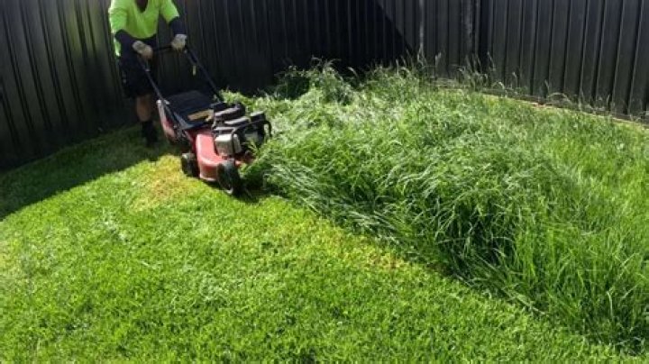 Is mowing the lawn healthy?