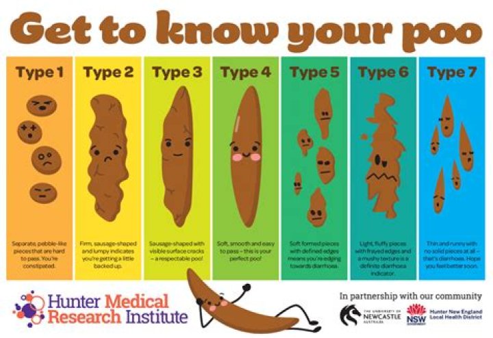 Is no-poo a good idea?