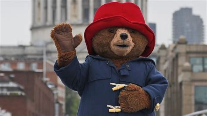 Is Paddington Bear public domain?