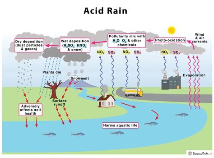 Is rain water acidic or alkaline?