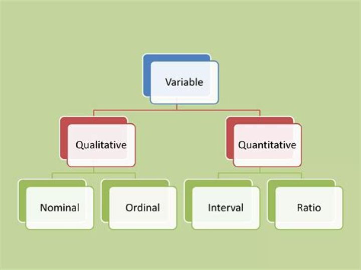 Is ratio scale qualitative or quantitative?