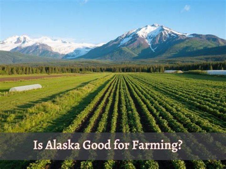 Is Scotland good for farming?