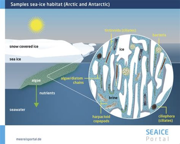 Is sea ice drinkable?