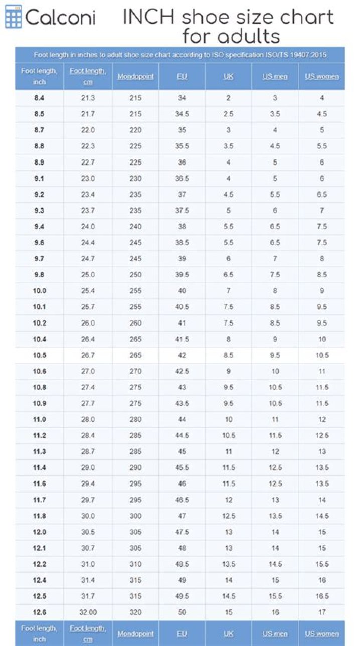 Is shoe size categorical or numerical?