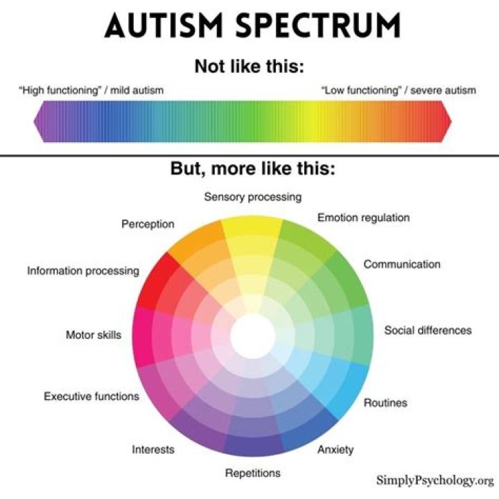 Is Shyness an autistic trait?