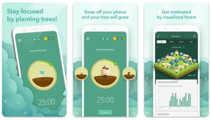 Is splice a good app?