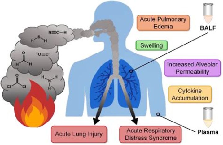 Is steam different to smoke?