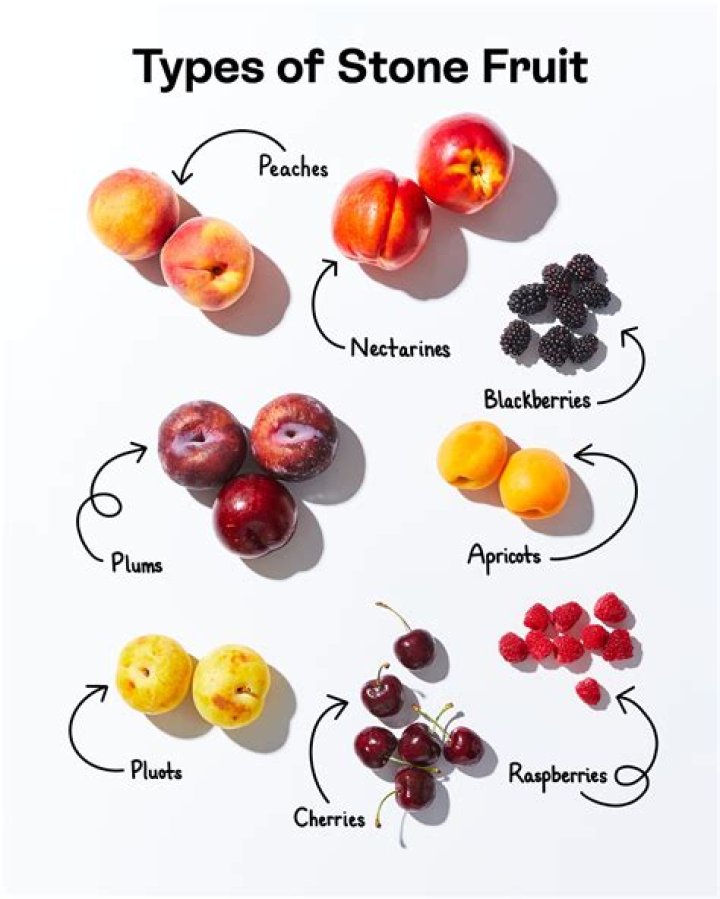 Is the stone stone fruit Logia?