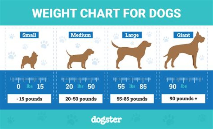 Is the weight of a dog discrete or continuous?