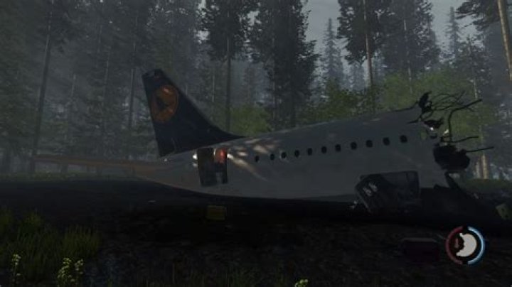 Is there a front half to the plane in The Forest?