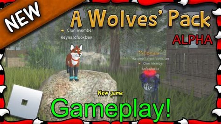 Is there an alpha wolf in a pack?