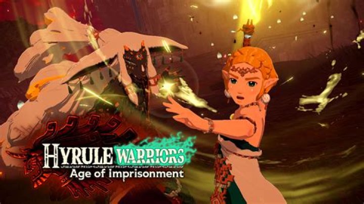 Is Toon Link in Hyrule Warriors?