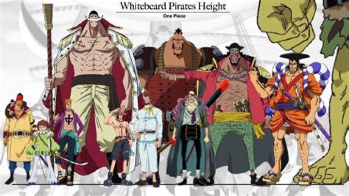 Is whitebeard a giant?