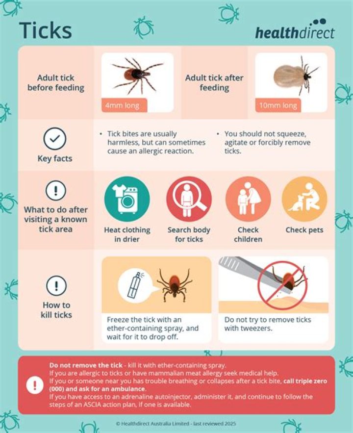 Should I go to the doctor for a tick bite?