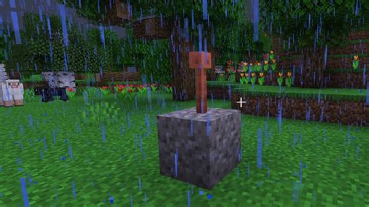 Should I put lightning rods on my house Minecraft?