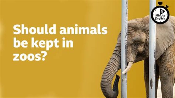 Should pigs be kept in mud?
