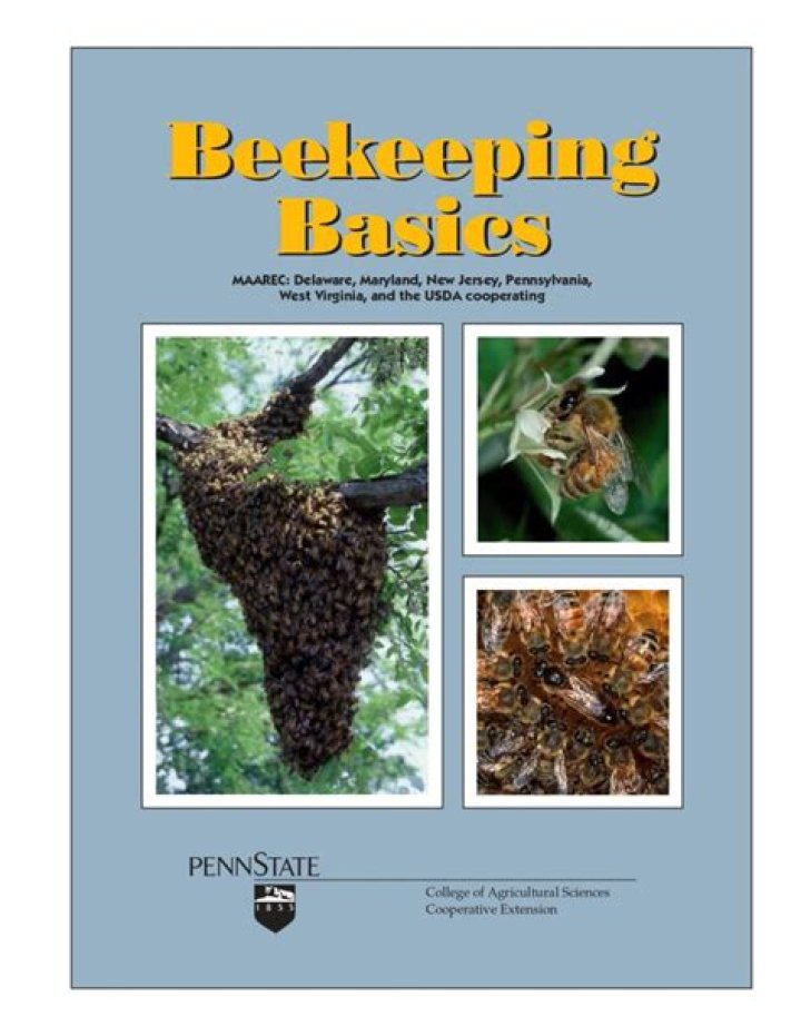 Should you jump into water if attacked by bees?