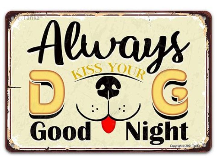 Should you let your dog kiss you?