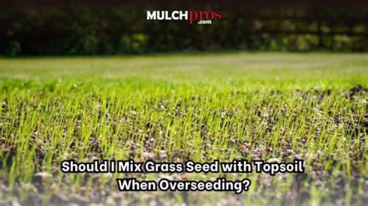 Should you mix grass seed topsoil?
