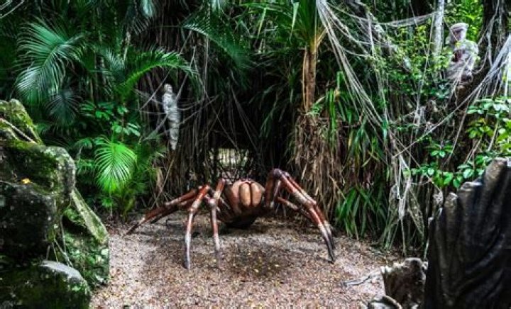 Was there ever giant spiders?