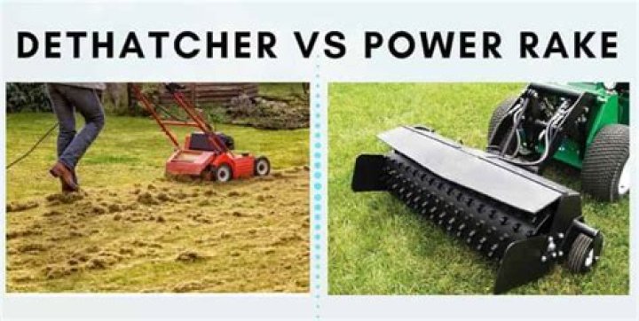 What's the difference between dethatching and power raking?