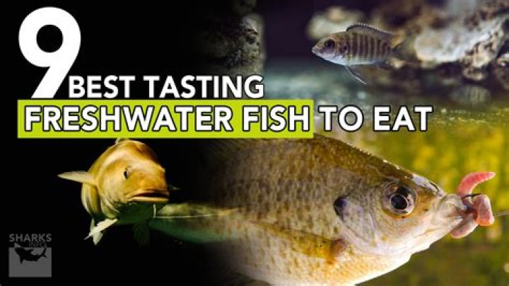 What's the healthiest freshwater fish to eat?