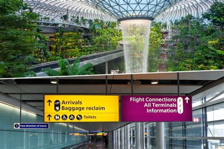 What airport has the most international flights?