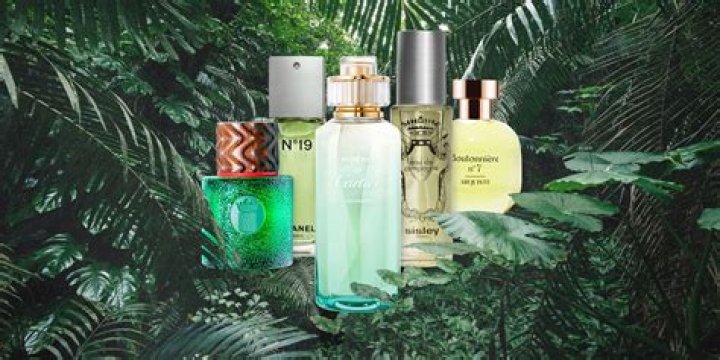 What animal product is in perfume?